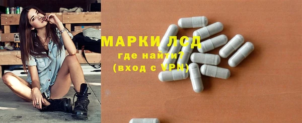 амф Гусиноозёрск