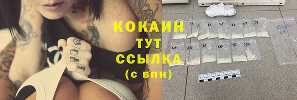 амф Гусиноозёрск