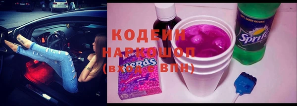 амф Гусиноозёрск