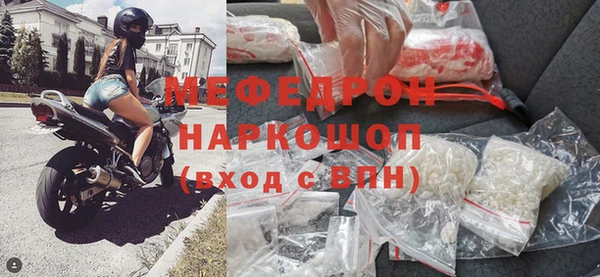 прущие грибы Тихвин
