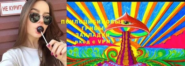 apvp Гусь-Хрустальный